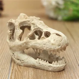 1 pair Dinosaur Skull Aquarium Decoration