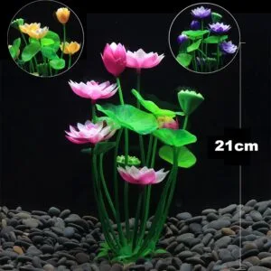 Fish Tank Plant Lotus flower 2pcs